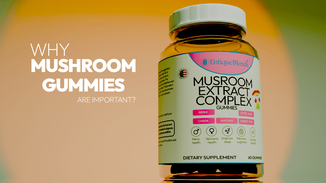 Mushroom Gummies Explained