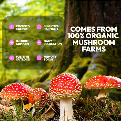 MUSHROOM EXTRACT COMPLEX 10 in 1  VITAMINS MUSHROOM GUMMIES